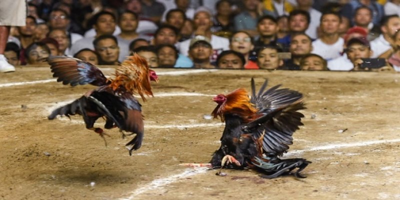 Sân chơi giải trí hoàn toàn hợp pháp, uy tín
