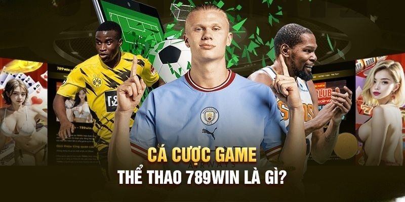 Giới thiệu 789Win - Cá cược thể thao